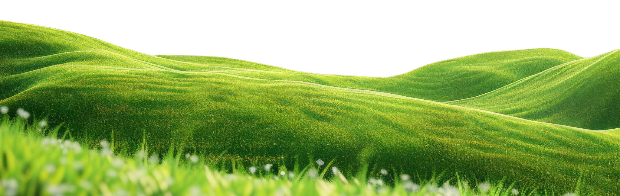 truenique text transparency footer